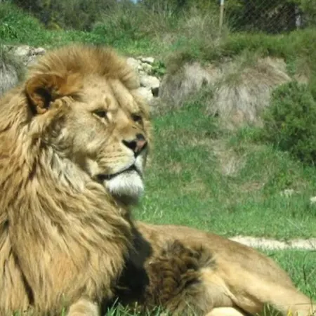 Apartment / Torrevieja